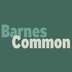 Barnes Common