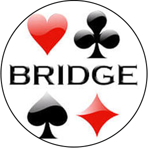 Bridge logo